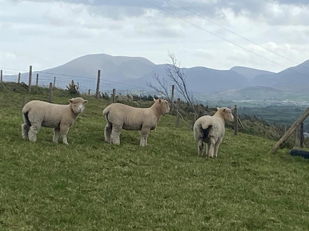 卡斯尔韦伦Hillhead Country Retreat别墅 外观 照片