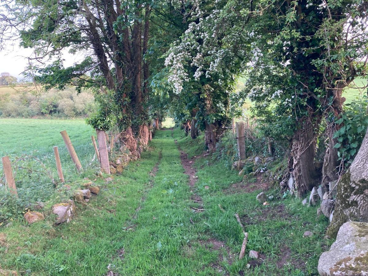 卡斯尔韦伦Hillhead Country Retreat别墅 外观 照片